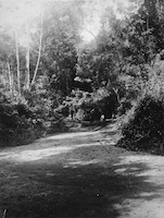 Photograph of Woogaroo Creek, Goodna, 1890. Source: John Oxley Library, State Library of Queensland, Negative No. 24086.