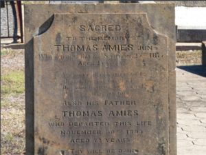 Gravestone of Thomas Amies, Warwick Cemetery, Qld. Image Dot Wickham