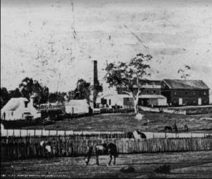 Ellenthorpe Steam Flour Mills in Warwick ca. 1865 image SLQ No. 101589