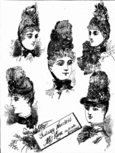 Advertisement for Miss Rome's London Millinery Establishment, Queensland Figaro & Punch, 8 May 1886, 20.